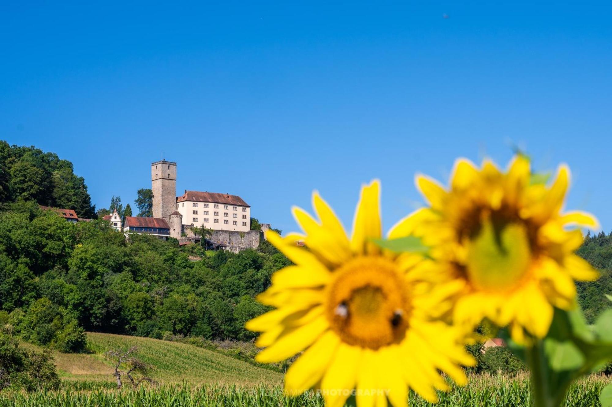 Wohnen Auf Der Ritterburg Villa Haßmersheim Kültér fotó